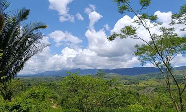 Quizás ahora solo buscas un lugar tranquilo junto al río y una casa de campo para disfrutar la vida junto a quienes más amas.