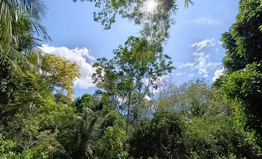 Quizás ahora solo buscas un lugar tranquilo junto al río y una casa de campo para disfrutar la vida junto a quienes más amas.