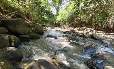 Quizás ahora solo buscas un lugar tranquilo junto al río y una casa de campo para disfrutar la vida junto a quienes más amas.