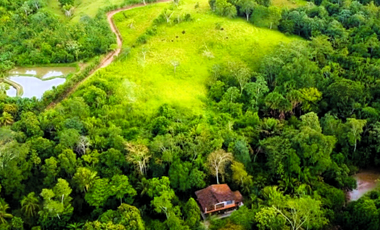 Quizás ahora solo buscas un lugar tranquilo junto al río y una casa de campo para disfrutar la vida junto a quienes más amas.