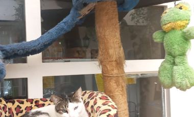 VENDO CASA COMERCIAL