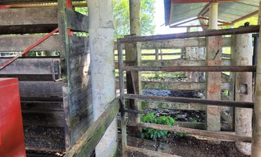 VENDO FINCA EN CUMARAL META 30 HECTAREAS GANADERA VEREDA SAN NICOLAS