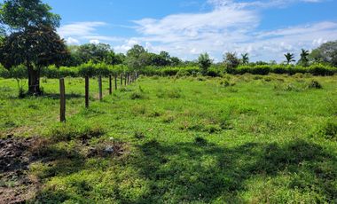 VENDO FINCA EN CUMARAL META 30 HECTAREAS GANADERA VEREDA SAN NICOLAS