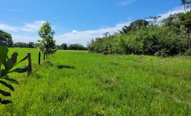 VENDO FINCA EN CUMARAL META 30 HECTAREAS GANADERA VEREDA SAN NICOLAS