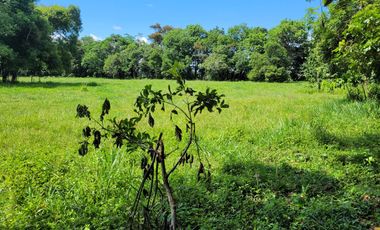 VENDO FINCA EN CUMARAL META 30 HECTAREAS GANADERA VEREDA SAN NICOLAS