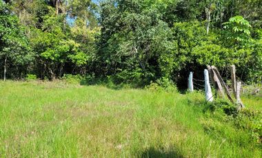 VENDO FINCA EN CUMARAL META 30 HECTAREAS GANADERA VEREDA SAN NICOLAS
