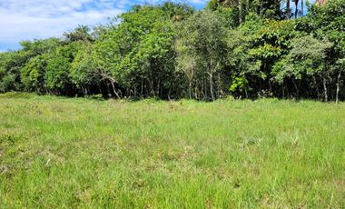 VENDO FINCA EN CUMARAL META 30 HECTAREAS GANADERA VEREDA SAN NICOLAS