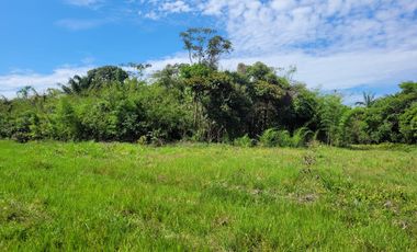 VENDO FINCA EN CUMARAL META 30 HECTAREAS GANADERA VEREDA SAN NICOLAS