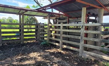 VENDO FINCA EN CUMARAL META 30 HECTAREAS GANADERA VEREDA SAN NICOLAS