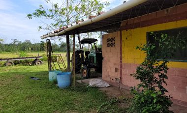 VENDO FINCA EN VILLAVICENCIO 64 HECTAREAS GANADERAS Y CULTIVOS VEREDA LA VIGIA
