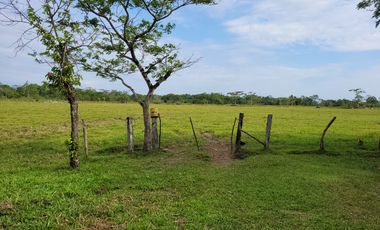 VENDO FINCA EN VILLAVICENCIO 64 HECTAREAS GANADERAS Y CULTIVOS VEREDA LA VIGIA
