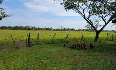 VENDO FINCA EN VILLAVICENCIO 64 HECTAREAS GANADERAS Y CULTIVOS VEREDA LA VIGIA
