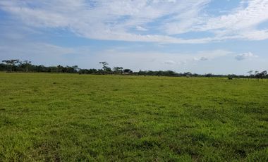 VENDO FINCA EN VILLAVICENCIO 64 HECTAREAS GANADERAS Y CULTIVOS VEREDA LA VIGIA