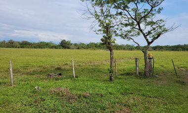 VENDO FINCA EN VILLAVICENCIO 64 HECTAREAS GANADERAS Y CULTIVOS VEREDA LA VIGIA