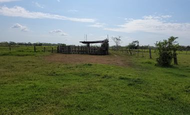 VENDO FINCA EN VILLAVICENCIO 64 HECTAREAS GANADERAS Y CULTIVOS VEREDA LA VIGIA