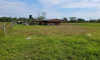 VENDO FINCA EN VILLAVICENCIO 64 HECTAREAS GANADERAS Y CULTIVOS VEREDA LA VIGIA