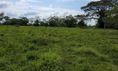 VENDO FINCA EN VILLAVICENCIO 64 HECTAREAS GANADERAS Y CULTIVOS VEREDA LA VIGIA