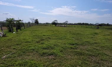 VENDO FINCA EN VILLAVICENCIO 64 HECTAREAS GANADERAS Y CULTIVOS VEREDA LA VIGIA