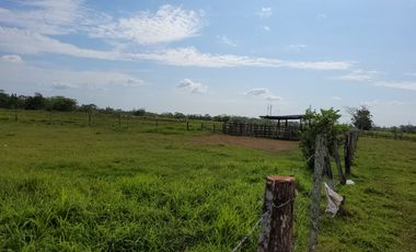 VENDO FINCA EN VILLAVICENCIO 64 HECTAREAS GANADERAS Y CULTIVOS VEREDA LA VIGIA