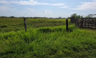 VENDO FINCA EN VILLAVICENCIO 64 HECTAREAS GANADERAS Y CULTIVOS VEREDA LA VIGIA