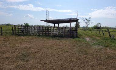 VENDO FINCA EN VILLAVICENCIO 64 HECTAREAS GANADERAS Y CULTIVOS VEREDA LA VIGIA