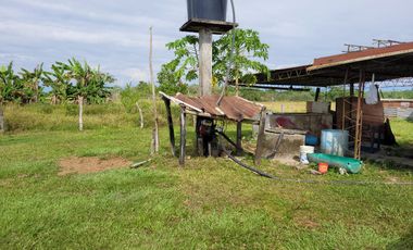 VENDO FINCA EN VILLAVICENCIO 64 HECTAREAS GANADERAS Y CULTIVOS VEREDA LA VIGIA