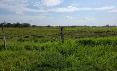 VENDO FINCA EN VILLAVICENCIO 64 HECTAREAS GANADERAS Y CULTIVOS VEREDA LA VIGIA