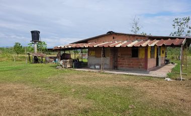 VENDO FINCA EN VILLAVICENCIO 64 HECTAREAS GANADERAS Y CULTIVOS VEREDA LA VIGIA