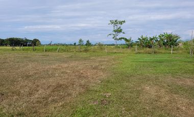 VENDO FINCA EN VILLAVICENCIO 64 HECTAREAS GANADERAS Y CULTIVOS VEREDA LA VIGIA