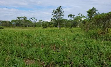 VENDO FINCA EN VILLAVICENCIO 64 HECTAREAS GANADERAS Y CULTIVOS VEREDA LA VIGIA