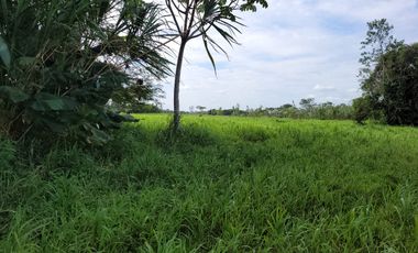 VENDO FINCA EN VILLAVICENCIO 64 HECTAREAS GANADERAS Y CULTIVOS VEREDA LA VIGIA