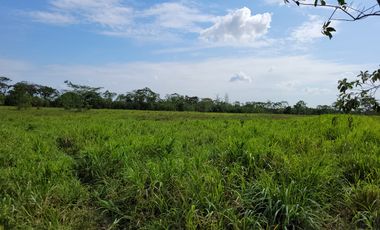 VENDO FINCA EN VILLAVICENCIO 64 HECTAREAS GANADERAS Y CULTIVOS VEREDA LA VIGIA