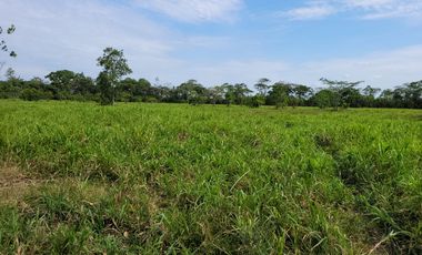 VENDO FINCA EN VILLAVICENCIO 64 HECTAREAS GANADERAS Y CULTIVOS VEREDA LA VIGIA