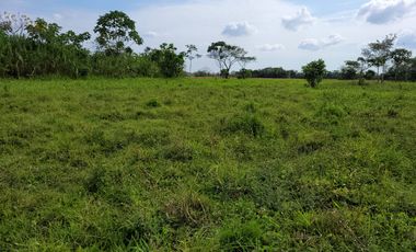 VENDO FINCA EN VILLAVICENCIO 64 HECTAREAS GANADERAS Y CULTIVOS VEREDA LA VIGIA