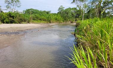 VENDO FINCA EN VILLAVICENCIO 64 HECTAREAS GANADERAS Y CULTIVOS VEREDA LA VIGIA