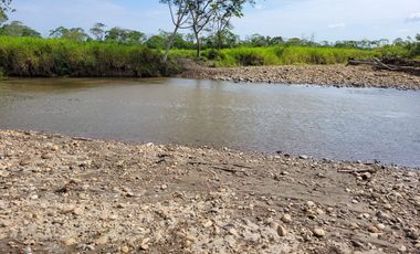 VENDO FINCA EN VILLAVICENCIO 64 HECTAREAS GANADERAS Y CULTIVOS VEREDA LA VIGIA