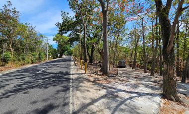 Retirement House in Canlumacad, Santander, Cebu