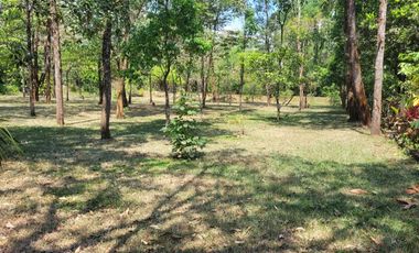 VENDO UNA HECTAREA EN RESTREPO META CON CASA QUINTA