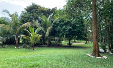 VENDO UNA HECTAREA EN RESTREPO META CON CASA QUINTA