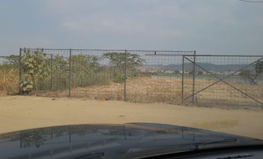 Terreno de alquiler  en Av. León Febres Cordero