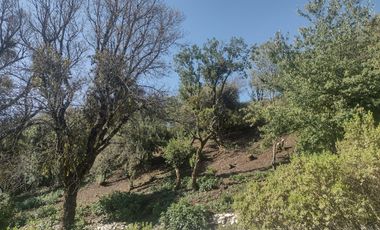 LINDO TERRENO EN SANTA ROSALIA A 10 MIN. DE MINERAL DEL MONTE ZONA BOSCOSA