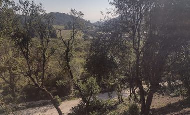 LINDO TERRENO EN SANTA ROSALIA A 10 MIN. DE MINERAL DEL MONTE ZONA BOSCOSA