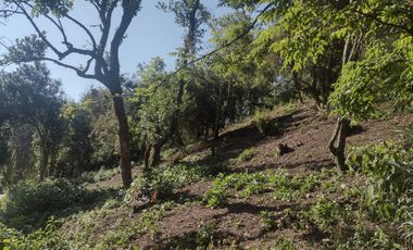 LINDO TERRENO EN SANTA ROSALIA A 10 MIN. DE MINERAL DEL MONTE ZONA BOSCOSA