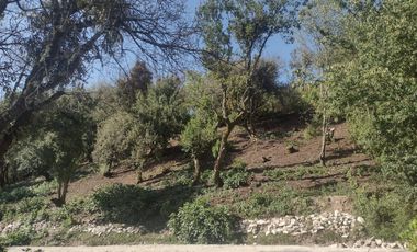 LINDO TERRENO EN SANTA ROSALIA A 10 MIN. DE MINERAL DEL MONTE ZONA BOSCOSA