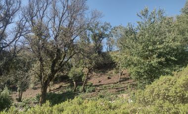 LINDO TERRENO EN SANTA ROSALIA A 10 MIN. DE MINERAL DEL MONTE ZONA BOSCOSA
