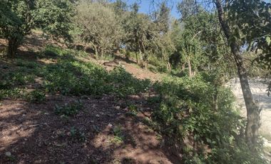 LINDO TERRENO EN SANTA ROSALIA A 10 MIN. DE MINERAL DEL MONTE ZONA BOSCOSA