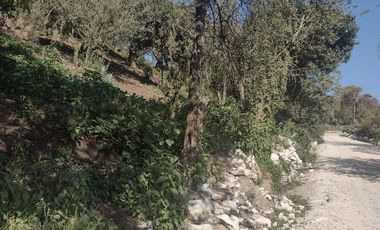 LINDO TERRENO EN SANTA ROSALIA A 10 MIN. DE MINERAL DEL MONTE ZONA BOSCOSA
