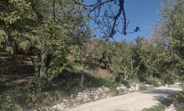 LINDO TERRENO EN SANTA ROSALIA A 10 MIN. DE MINERAL DEL MONTE ZONA BOSCOSA