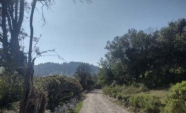 LINDO TERRENO EN SANTA ROSALIA A 10 MIN. DE MINERAL DEL MONTE ZONA BOSCOSA