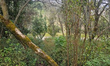 LINDO TERRENO EN SANTA ROSALIA A 10 MIN. DE MINERAL DEL MONTE ZONA BOSCOSA